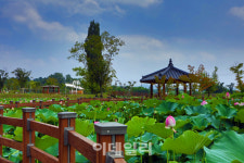 산과 바다로 아름다운 여름 정취를 느끼며 걷다