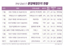 강남3구 연말까지 2600여가구 공급… 로또 분양 기대감 ‘UP’