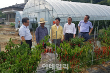 농식품부, 폭염 농축산물 피해 추석물가 선제적 수급관리 총력