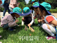 자연과 교감하면서 함께 성장하는 유아숲체험원 인기