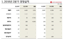 中 사드 보복 여진 여전…롯데쇼핑, 롯데마트 영업이익 뚝