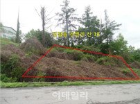 남양주 진접읍 창고용지 198㎡, 2534만원에 공매