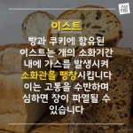 [스냅타임] 펫팸스토리…개에게 독이 되는 음식은