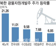 믿을 건 대북株…광물자원개발업체 주가 ‘쑥’