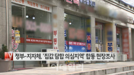 [이데일리N] 정부-지자체, 집값 담합 의심지역 합동 현장조사  外