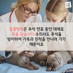 [스냅타임] 연휴 걱정 말고 펫시터에 맡기세요