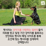 [스냅타임] 연휴 걱정 말고 펫시터에 맡기세요