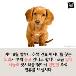[스냅타임] 연휴 걱정 말고 펫시터에 맡기세요