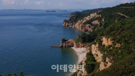 [추석맛기행①] 꽃처럼 활짝핀 게 먹으러 연평도로 간다