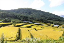 [가을여행①] 길에서 가을을 만나다