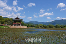 [가을여행②] 가을은 하늘에서 내려온다