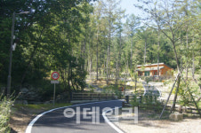 국내 최초 산림내 숲속야영장 국민에 개방…16일부터 예약접수