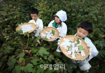 [포토]이만큼 수확했어요