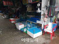 노량진 구시장 단전·단수 사흘째…빈 수조에 죽은 물고기만 둥둥