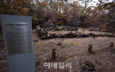 [여행] 찬바람 일기 전, 제주의 가을을 품다