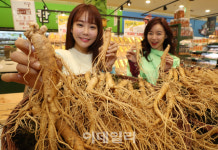 [포토]롯데마트, 금산 햇 인삼 판매