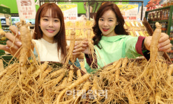 [포토]금산 햇 인삼으로 건강 챙기세요!