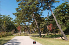 경강선 타고 가는 여주 여행
