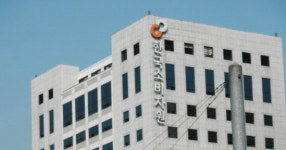 한국소비자원 초콜릿 카페인 함량 콜라보다 높아