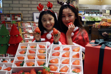 [포토]신세계百, 엄선한 고급 딸기 크리스마스 선물 출시