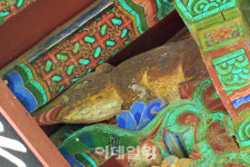 꿀돼지문구점;꿀돼지분식 | [여행] ‘꿀꿀’할 땐…행운·돈 부르는 ‘돼지투어’