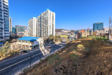 [동네방네]마포구, 매봉산 절개지 사면 정비사업 완료