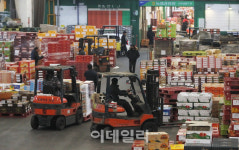 [포토]설 앞두고 분주한 청과물 공판장