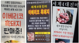 “이베리코豚에 속았다”…품종소비 제동 걸리나