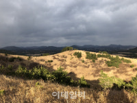 [설레는여행①] 제주서 이른 봄을 찾아 걷다
