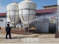 전국 소·돼지 구제역 백신 접종 완료.. 확산차단 일제소독 총력