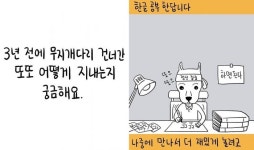 독자 고민 따뜻한 한 컷 만화로...무엇이든 그려드립니다(영상)