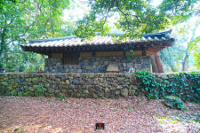 [진서우의 제주살이] ②애월의 숨겨진 비경인 납읍난대림지대, 금산공원