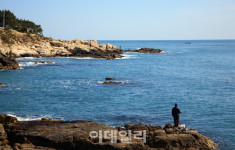 [여행] 화려한 부산은 잊어라…봄향 가득한 기장