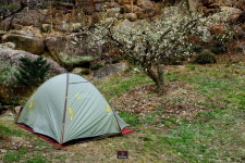 [등짐쟁이 기파리의 유랑]⑥ 매화향 따라 떠난 지리산 둘레길