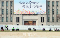 [포토]광장에 봄을 심다