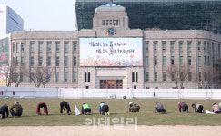 [포토]광장에 봄을 전하다