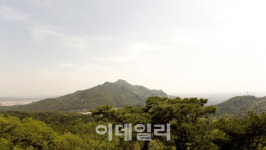 [동네방네]노원구 수락·불암산 숲에 힐링타운 조성