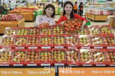 [포토]농협하나로유통, 올해 첫 출하된 경주 찰토마토 판매