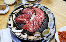 [여행] 봄볕에 반짝이는 푸른 봄…동백숲따라 문향에 빠지다