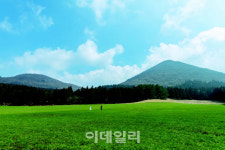 [여행팁] 꼬닥꼬닥 제주의 봄을 걷다