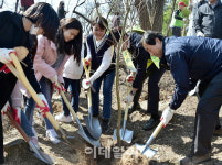 [포토]서대문구, 북한산에 나무 800그루 심어