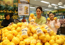[포토]이마트, 제철 맞은 참외, 골라 담으세요