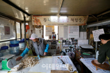 [여행] 감옥이었던 섬, 따스한 봄기운이 스며들다