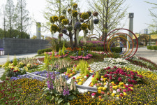 국가대표 꽃 축제 2019 고양국제꽃박람회 26일 막 올라