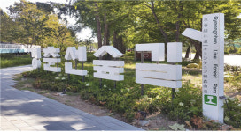 경춘선 숲길 7년만에 전 구간 개통