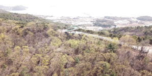 안산 선감도에 바다향기수목원 개장…바다&숲 함께 즐기기에 딱!