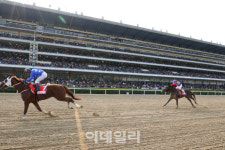 [경마이야기]외국인 아나운서 영입, 한국 경마 국제화 잰걸음