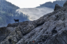 [이승희와 함께 하는 한국의 섬] 섬시인과 함께 떠난 신안 우이도