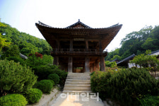 [여행] 푸르고 고요한 숲, 장쾌한 폭포…올곧은 선비와 같아라
