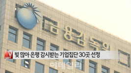 [이데일리N] 빚 많아 은행 감시받는 기업집단 30곳 선정 外